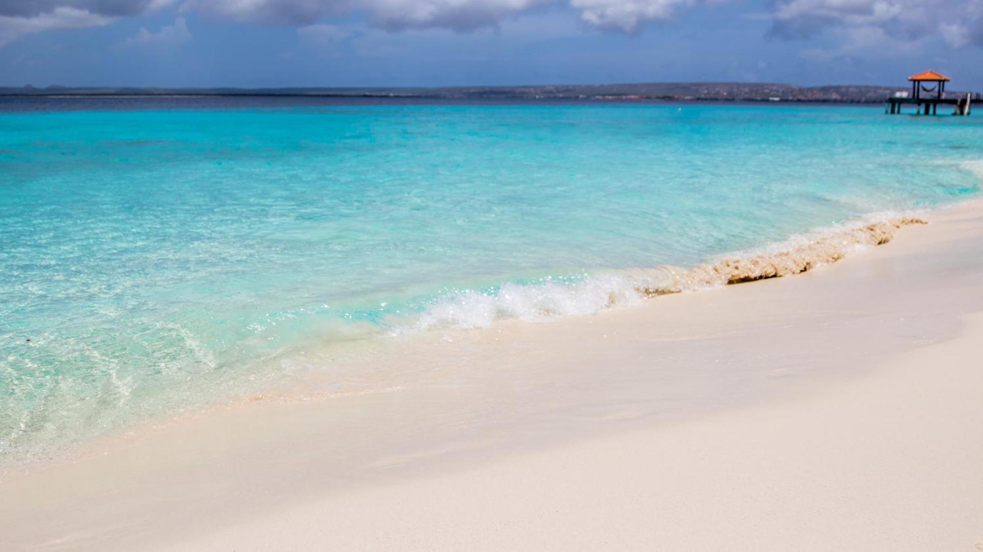 Isla Penthouse & Garden Apartments Bonaire Кралендижк Екстериор снимка
