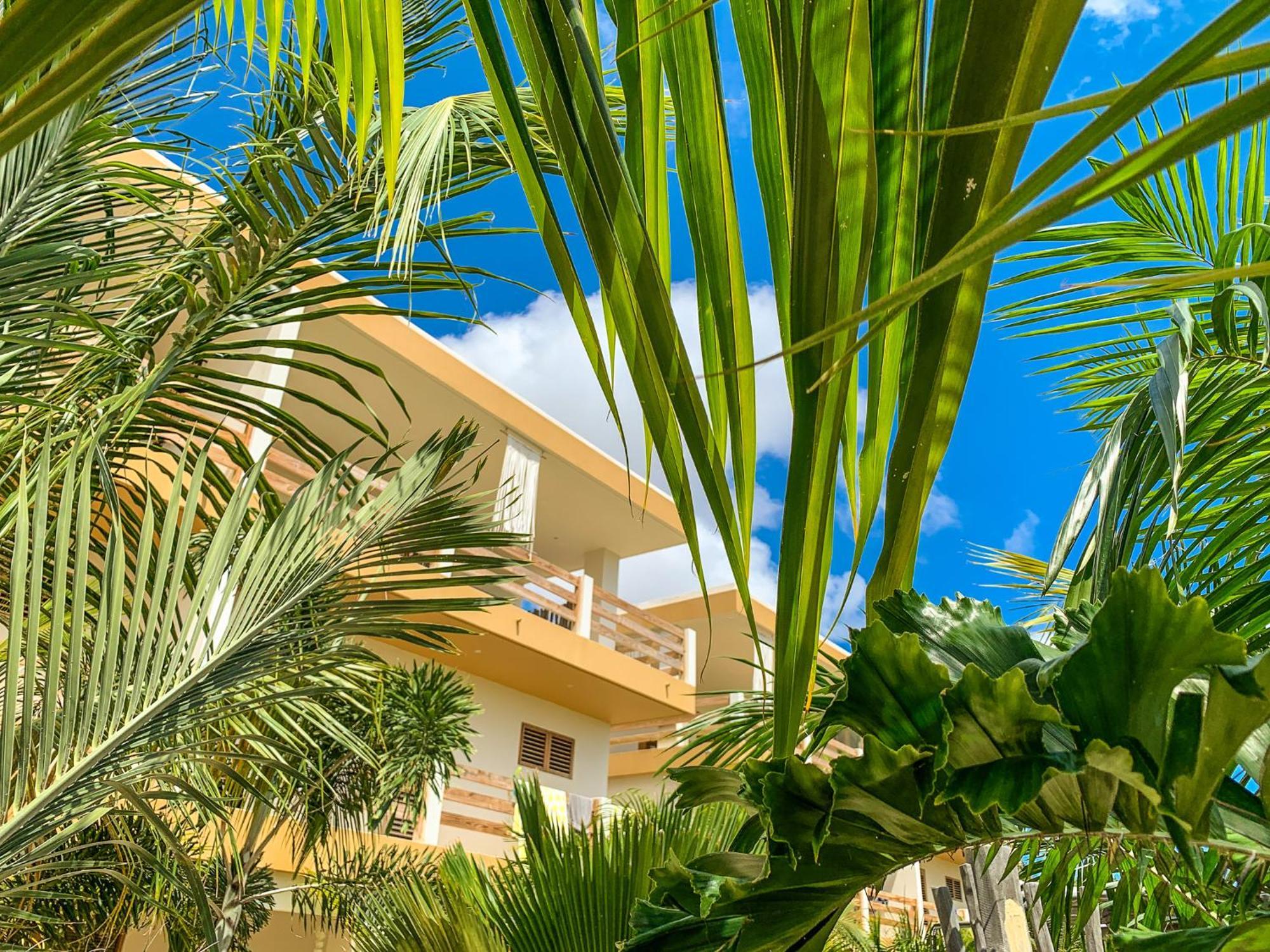 Isla Penthouse & Garden Apartments Bonaire Кралендижк Екстериор снимка