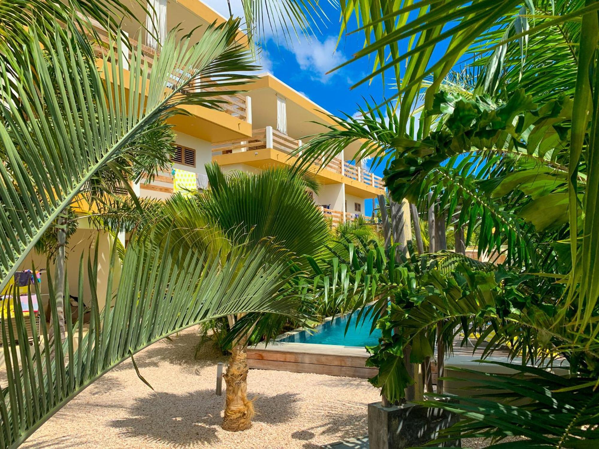 Isla Penthouse & Garden Apartments Bonaire Кралендижк Екстериор снимка