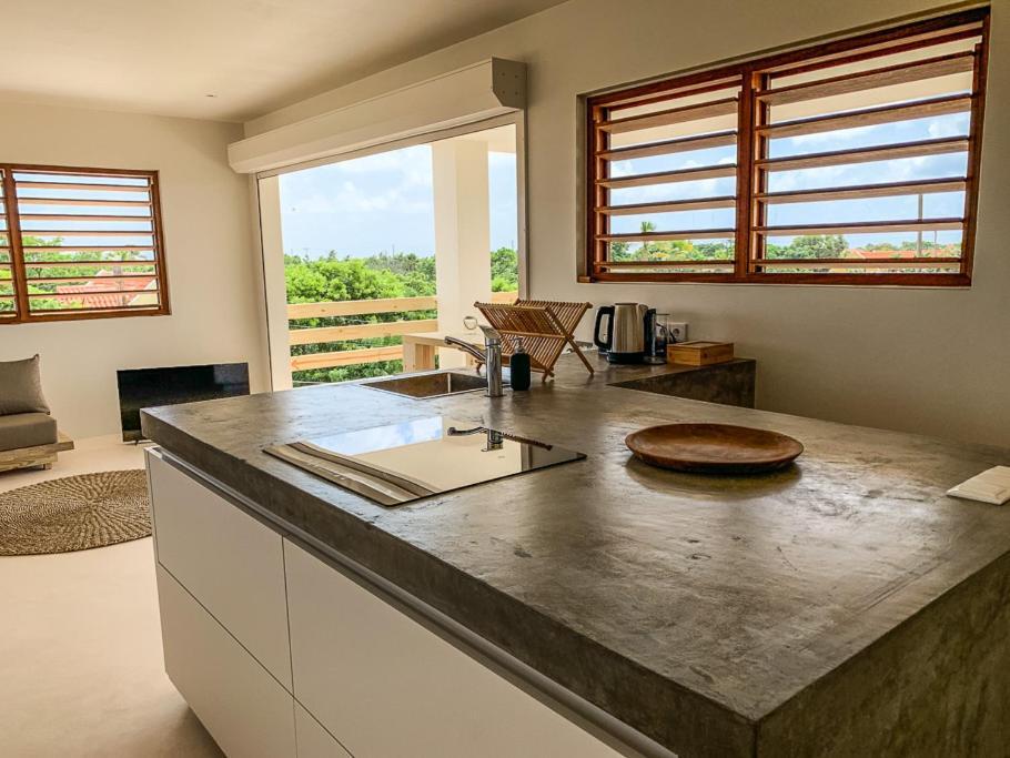 Isla Penthouse & Garden Apartments Bonaire Кралендижк Екстериор снимка